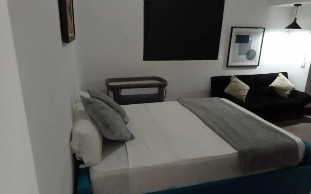 Mn Loft F Centro Monterrey