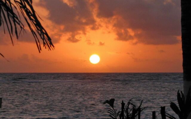 Margarita del Sol Costa Maya