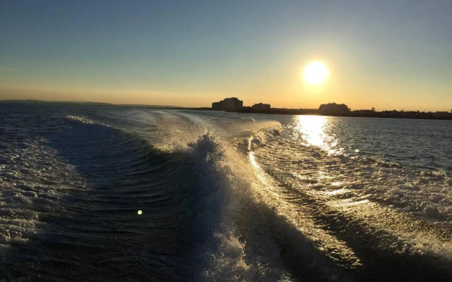 Appartement Rez De Jardin Emplacement #1