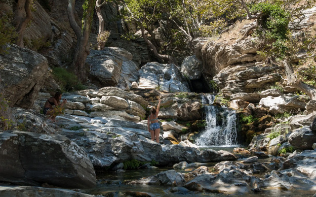 Venus Beach Bungalows Hotel