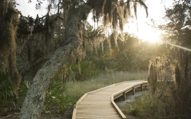 Turtle Dunes - Amelia Island Plantation