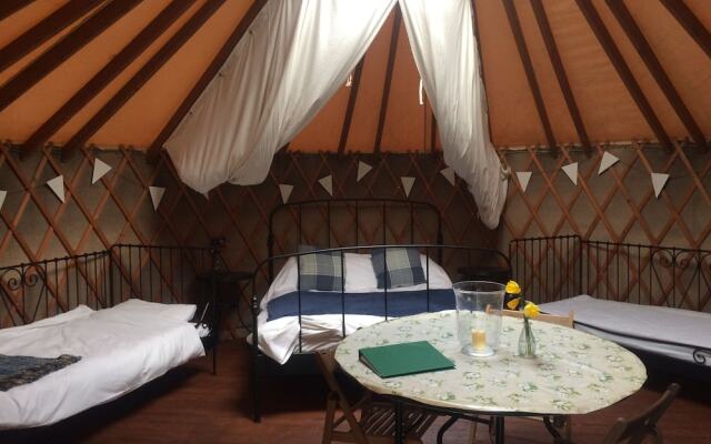 Yurtcamp Devon