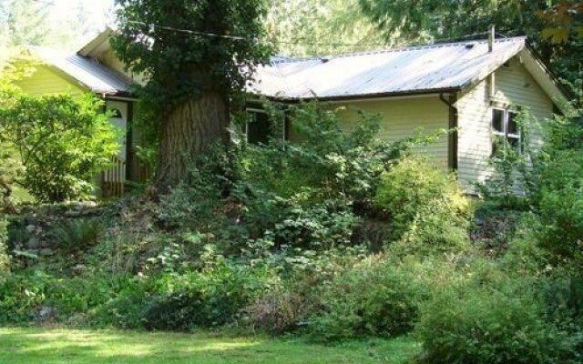 Cabins and Campground at Cultus Lake Park