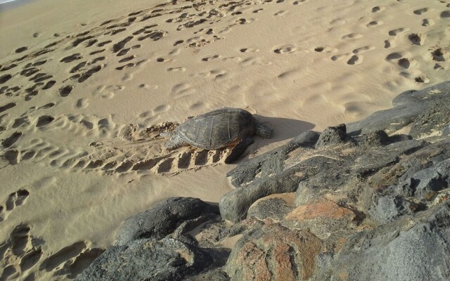 Hale Ono Loa #212 - 1 Br Condo