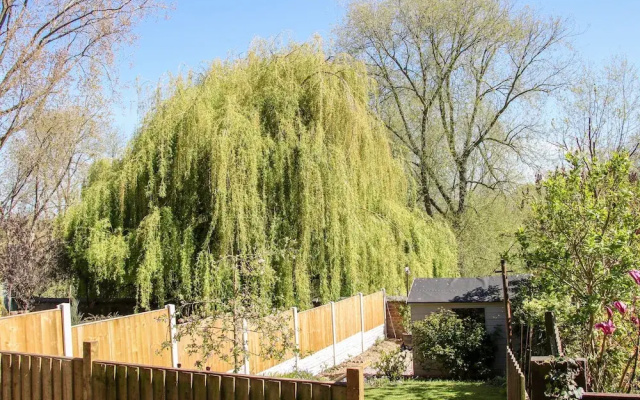 Willow View