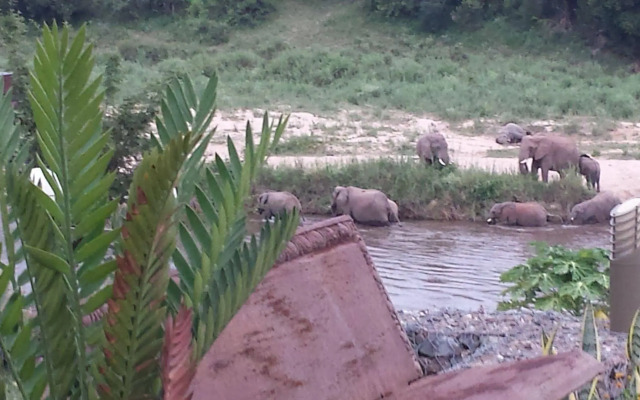 River House Bush and Safari Lodge