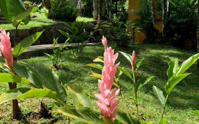 Pousada Bromélias