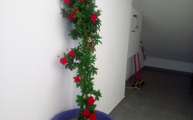 Persefoni Rooms