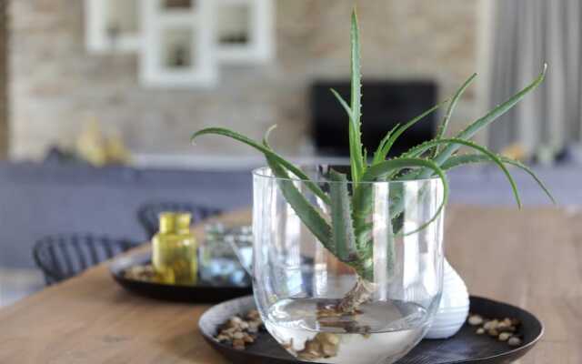 Discover the Attraction of Villa Umoja