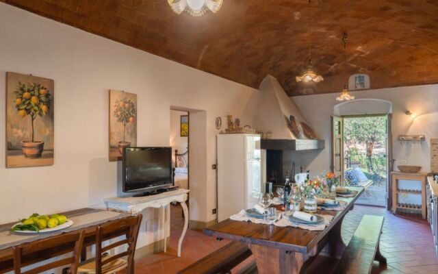 Poggio Cuccule 31501