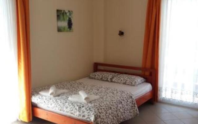 Hotel Milionis