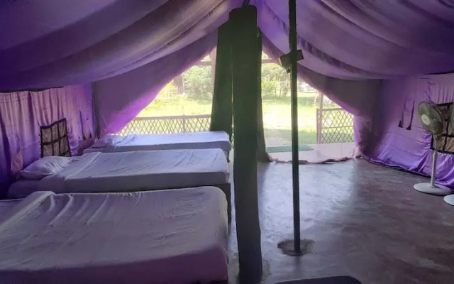 Lali Mou Camp By GRB