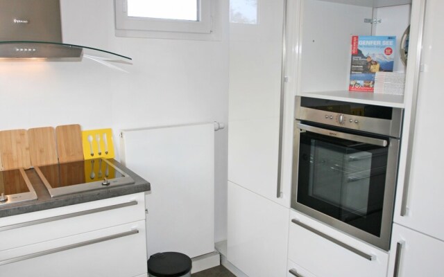 Kegelrobbe Norden in Norden