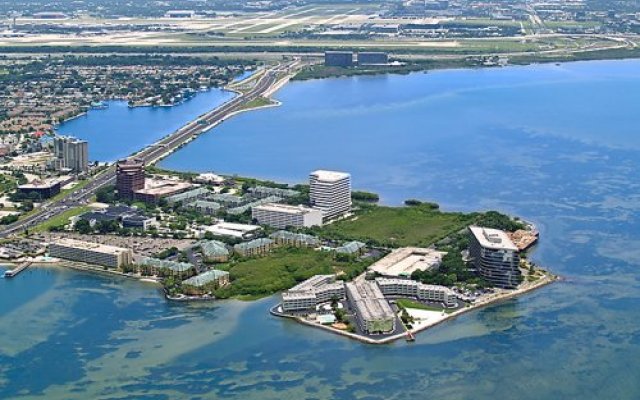 Tampa Waterfront 20530