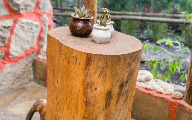 Kandisi
