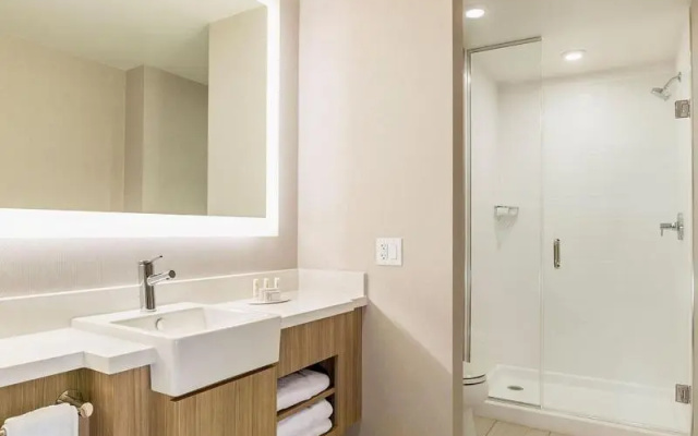 SpringHill Suites by Marriott St. Paul Downtown
