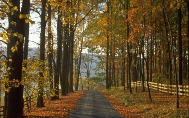 TownePlace Suites Gaithersburg by Marriott