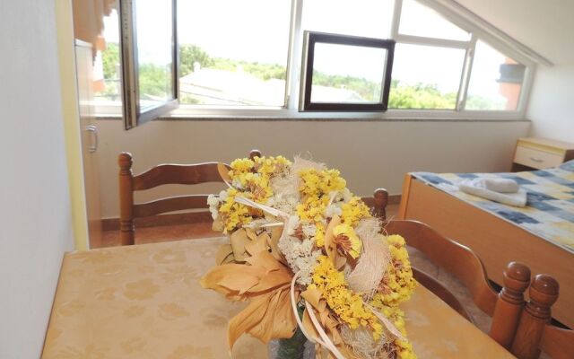 Apartment and rooms Brzac