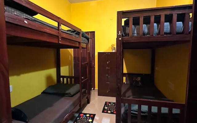 Rastafari - The Backpackers Hostel