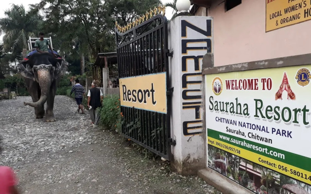 The 90's Sauraha