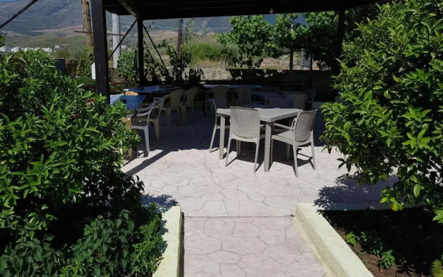 Apartments Rudi