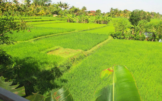 Panorama Ubud Private Villa