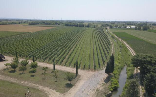 B&B La Corte Dei Vizi