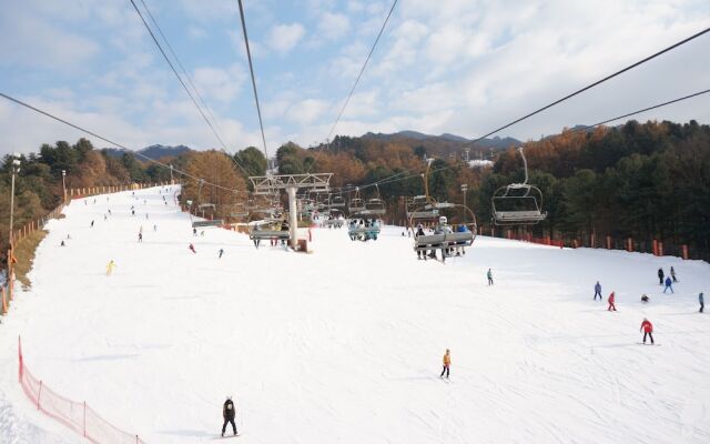 Bears Town Resort