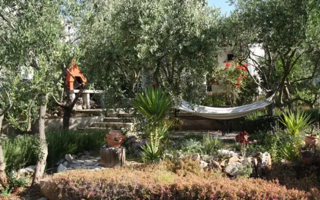 House Oliva