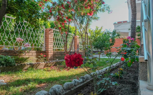 Vila Adriatik