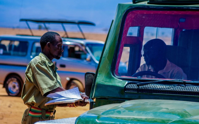 Amanya 1 -bed King Lion Tent