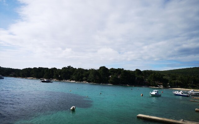 Apartment Babi Artatore