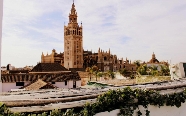 Apartments Olé - Santa Rufina