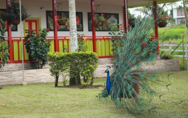 Hotel Bamboo Boutique