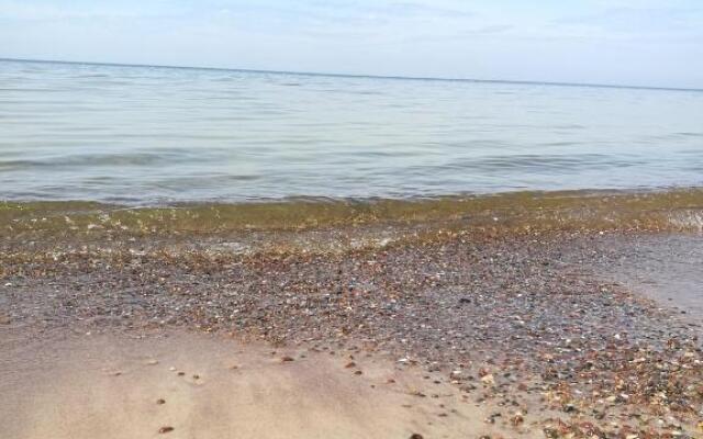 Studija VANAGUPĖS 13