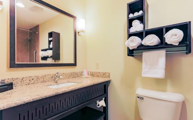 Holiday Inn Mobile - Airport by IHG