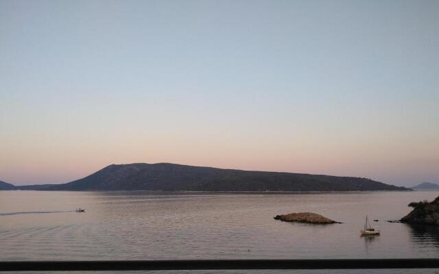 Odyssia near the Seaside