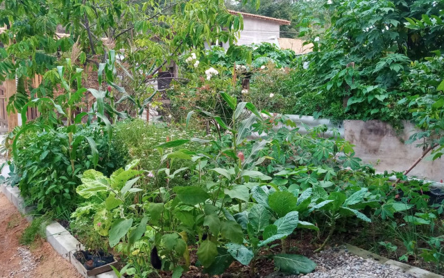 Casa em Ilhabela - Chalé II Arara Azul