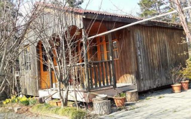 Surami Treehouse