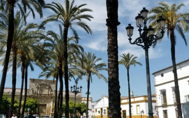 Azafran Jerez