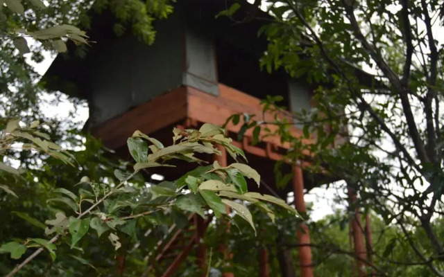 Dambulla Tree House