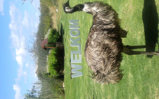 Thali Thali Game Lodge