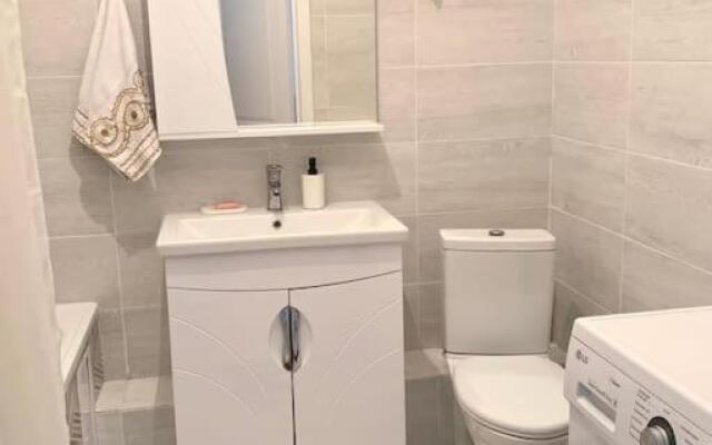 1 bedroom rental unit in Astana