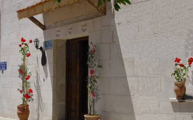 Bir Kedi Villa