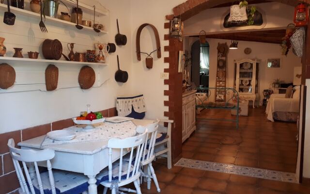 The Mountain Gardens