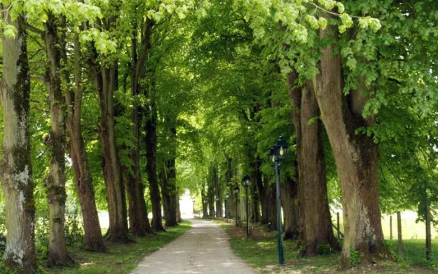 Holiday home Clos de la Baronnie