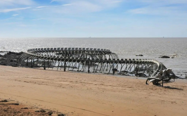 Gîte Saint-Brevin-les-Pins, 3 pièces, 4 personnes - FR-1-306-1180