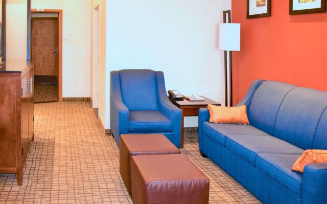 Comfort Suites Roswell North