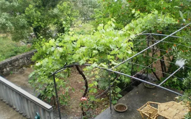 Krasici Green House