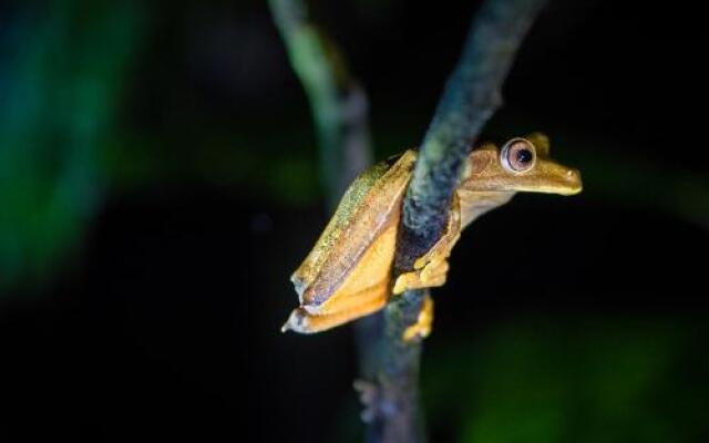 La Selva Amazon Ecolodge and Spa